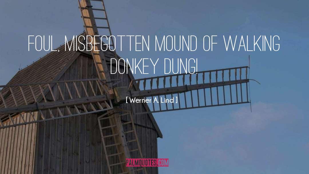 Donkey quotes by Werner A. Lind