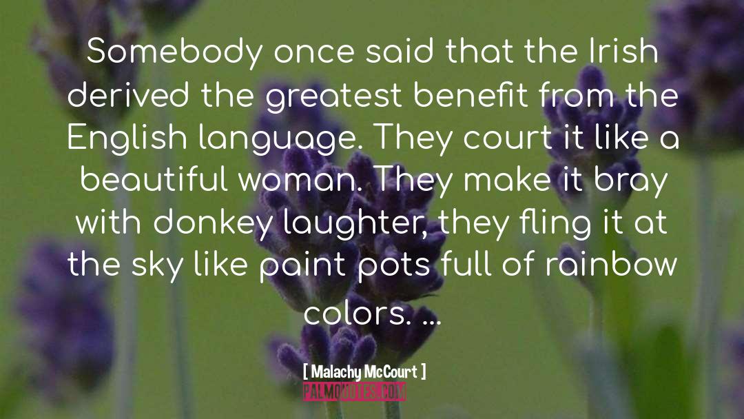 Donkey quotes by Malachy McCourt