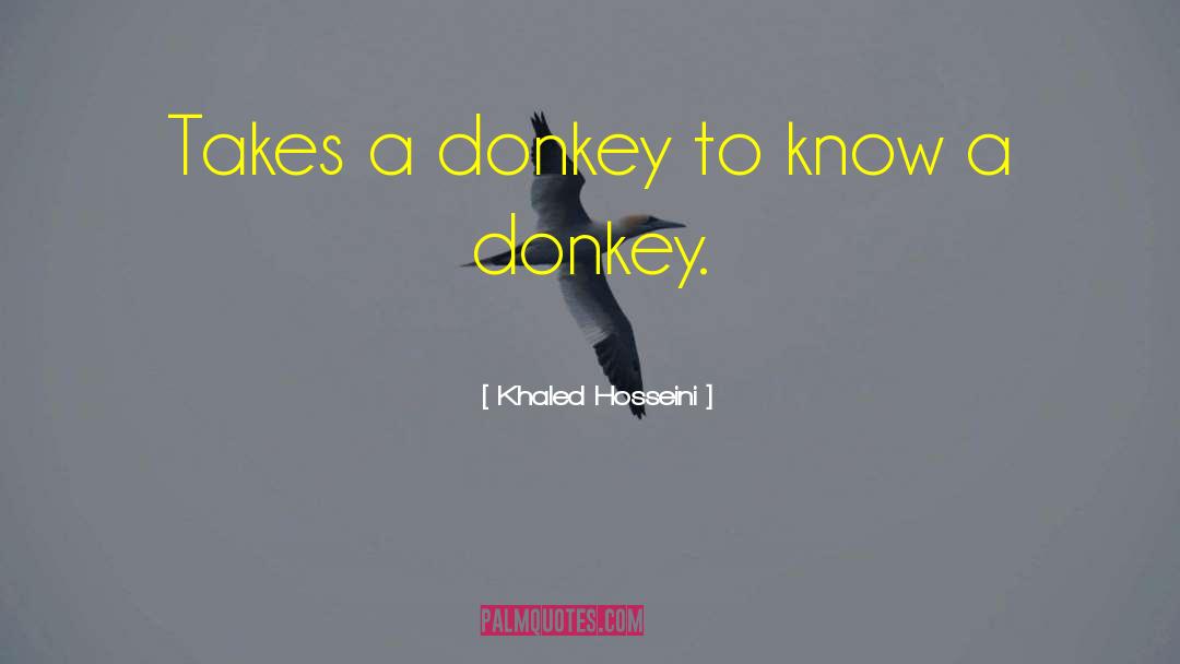 Donkey quotes by Khaled Hosseini