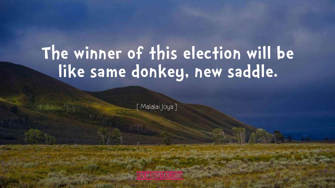 Donkey quotes by Malalai Joya