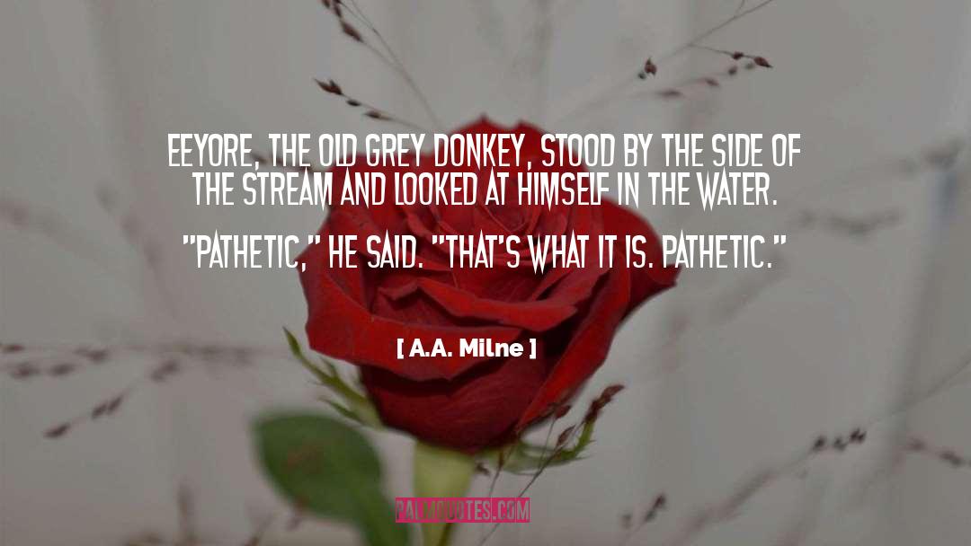 Donkey quotes by A.A. Milne