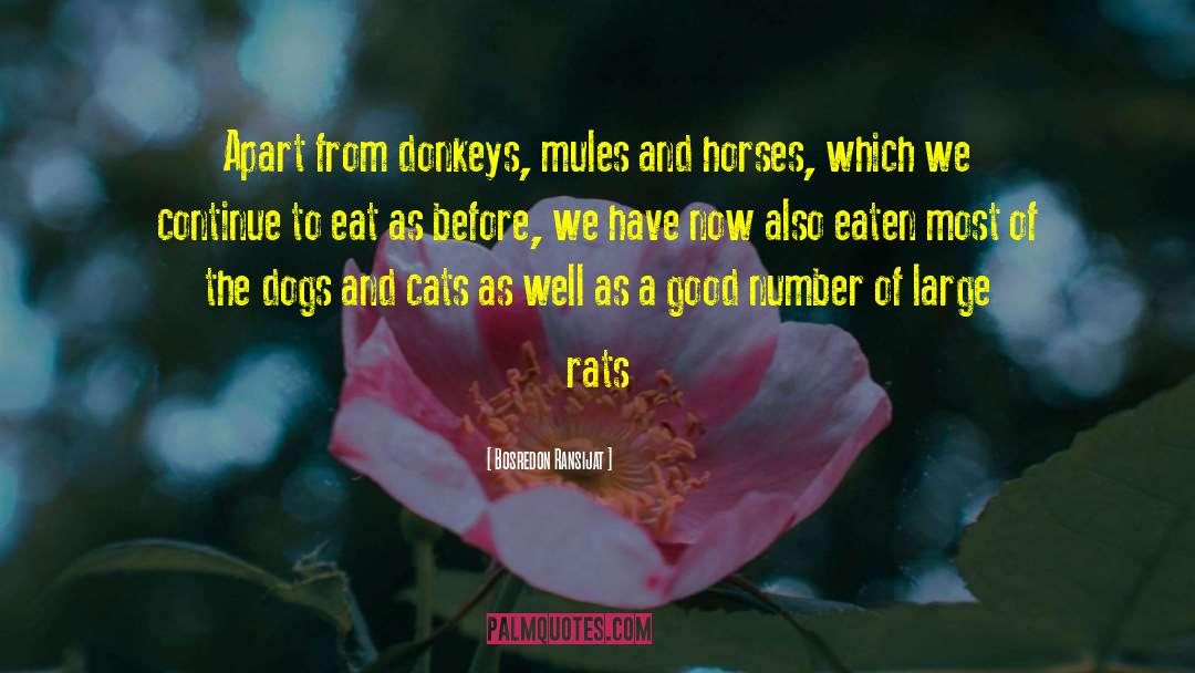Donkeys quotes by Bosredon Ransijat
