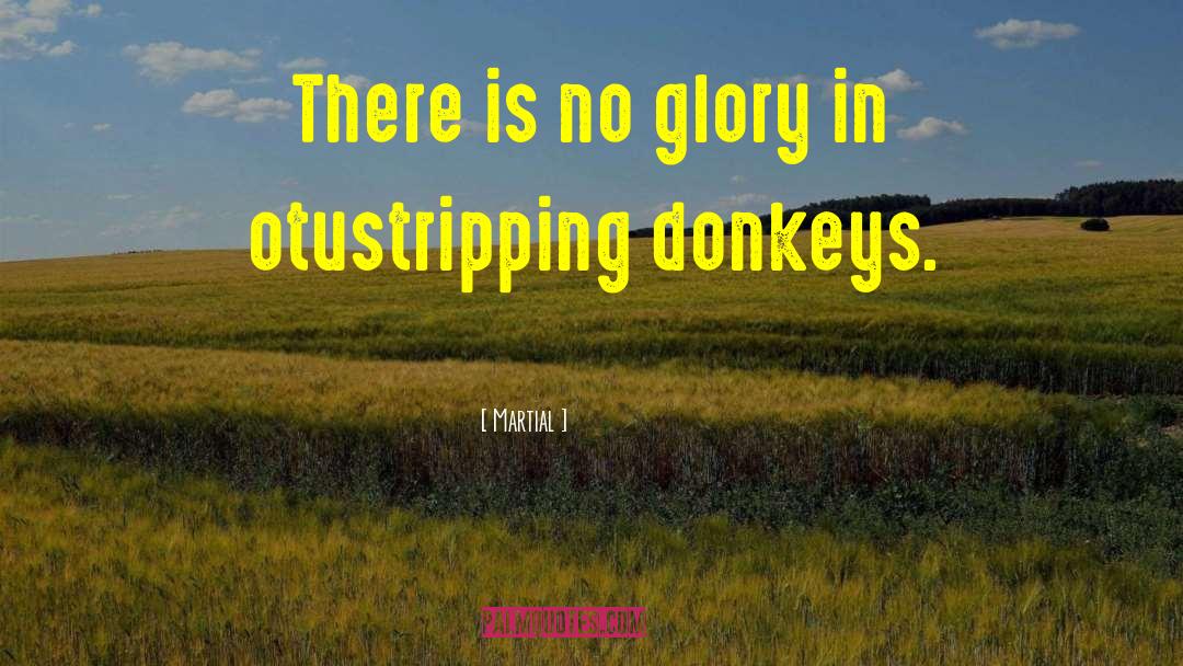 Donkeys quotes by Martial
