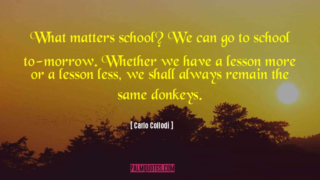 Donkeys quotes by Carlo Collodi