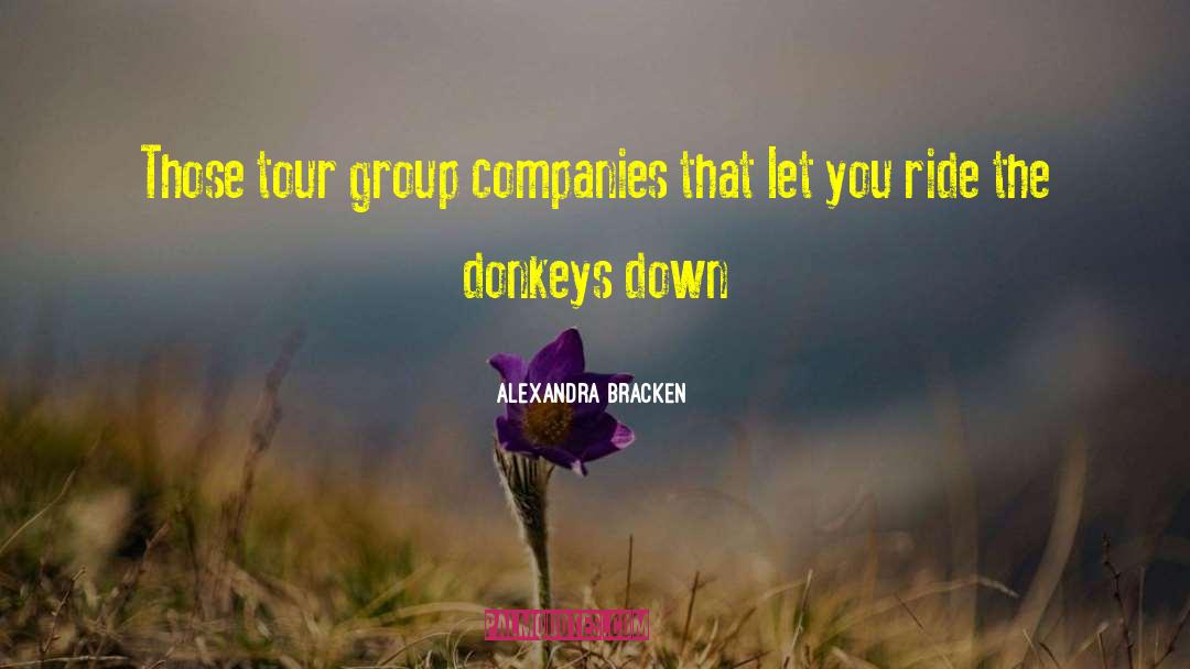 Donkeys quotes by Alexandra Bracken