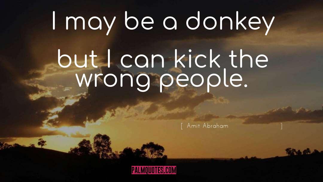 Donkeys quotes by Amit Abraham