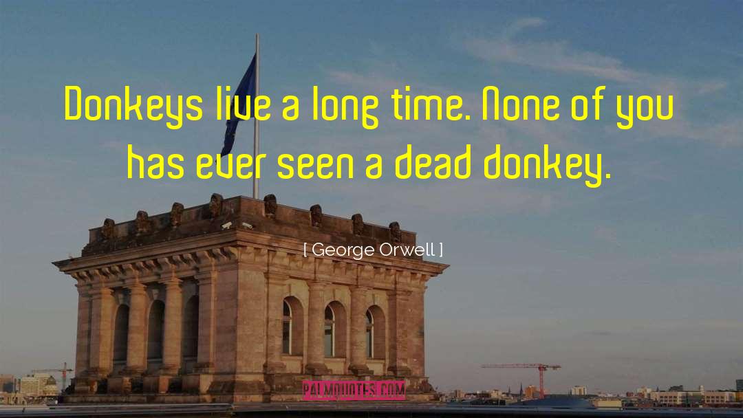 Donkeys quotes by George Orwell