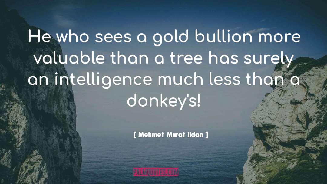 Donkeys quotes by Mehmet Murat Ildan