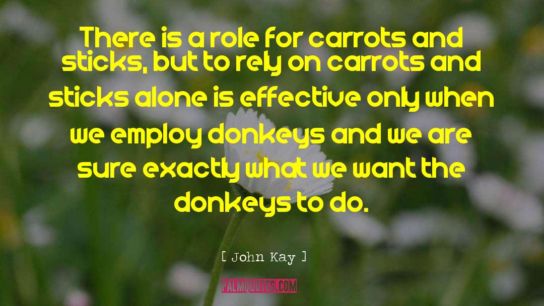 Donkeys quotes by John Kay