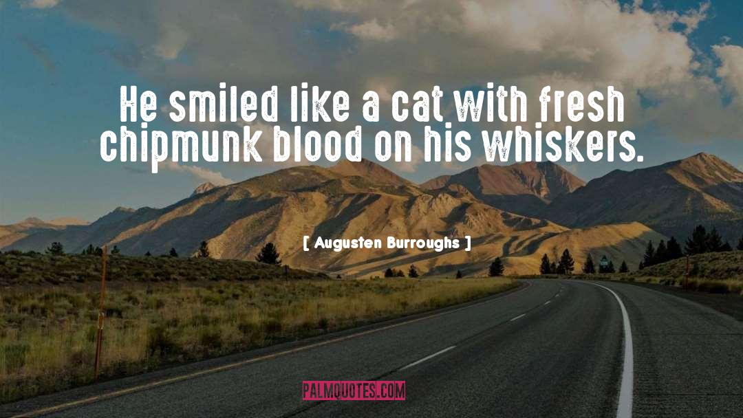 Donnerstag Cat quotes by Augusten Burroughs