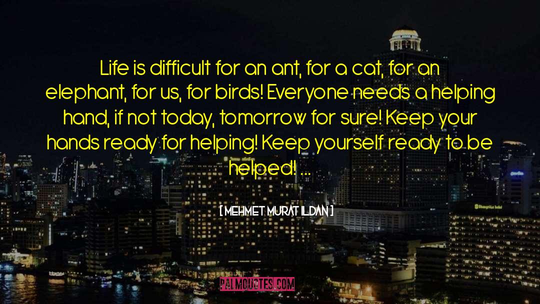 Donnerstag Cat quotes by Mehmet Murat Ildan