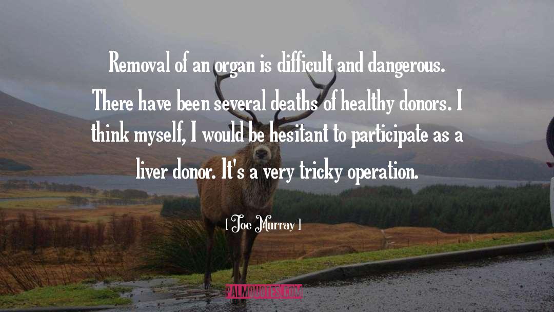 Donors quotes by Joe Murray