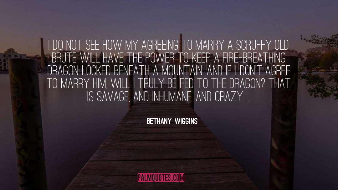 Dont Agree quotes by Bethany Wiggins
