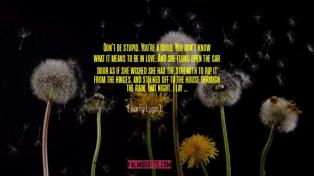 Dont Be Stupid quotes by Barry Lyga