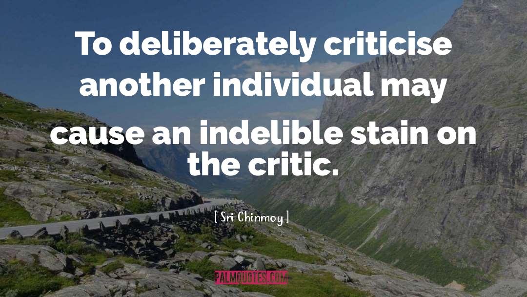 Dont Criticise Others quotes by Sri Chinmoy