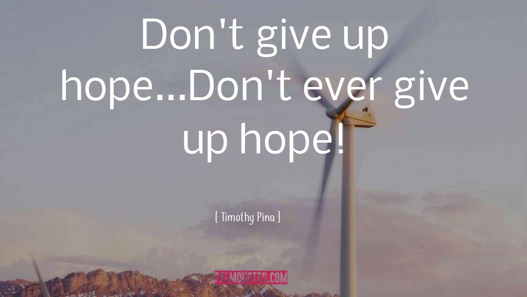 Dont Ever Give Up quotes by Timothy Pina