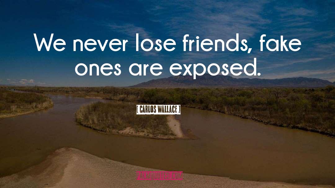 Dont Fake A Relationship quotes by Carlos Wallace