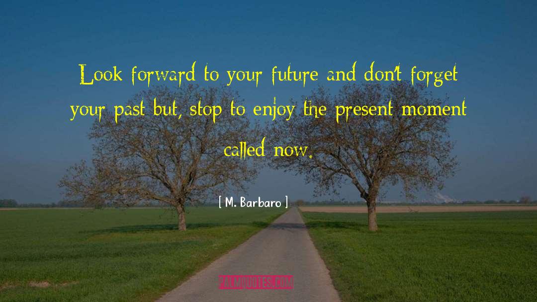 Dont Forget To Enjoy Life quotes by M. Barbaro