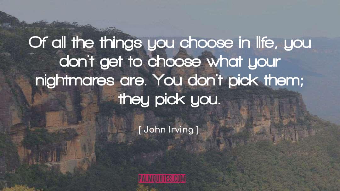 Dont Get Involved quotes by John Irving