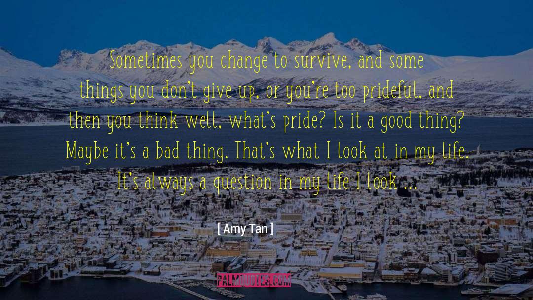 Dont Give Up quotes by Amy Tan