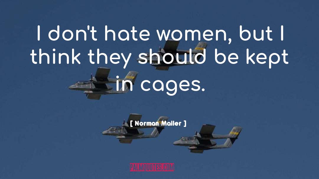 Dont Hate quotes by Norman Mailer