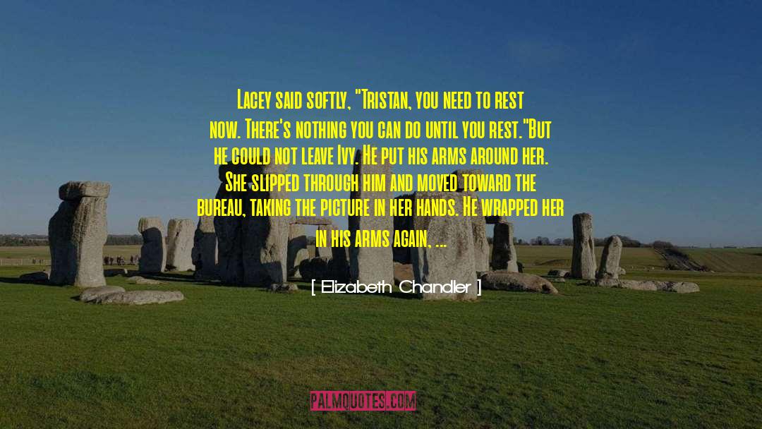 Dont Let Go quotes by Elizabeth Chandler