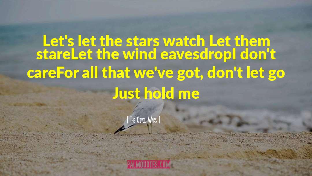 Dont Let Go quotes by The Civil Wars