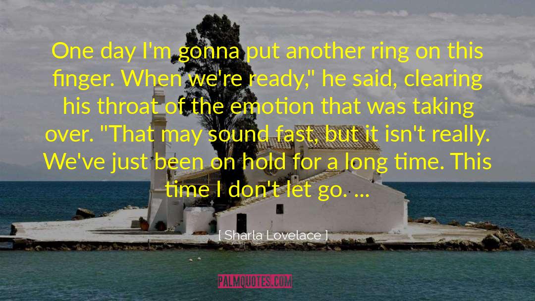 Dont Let Go quotes by Sharla Lovelace