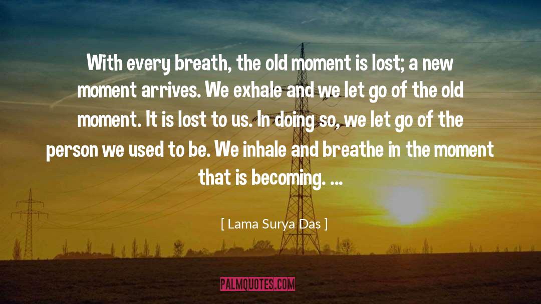Dont Let Go quotes by Lama Surya Das