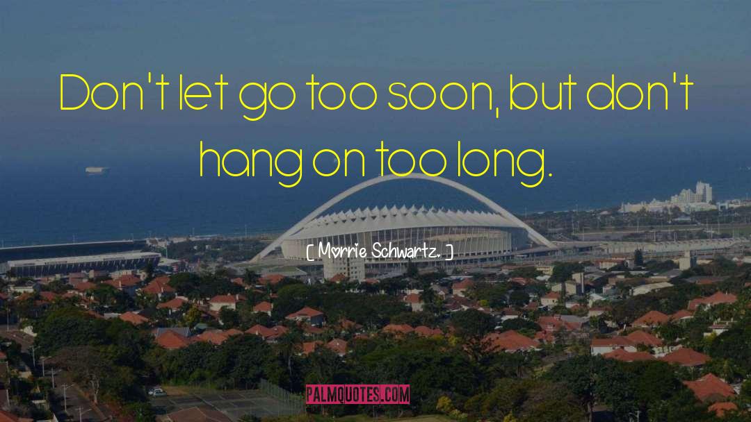 Dont Let Go quotes by Morrie Schwartz.
