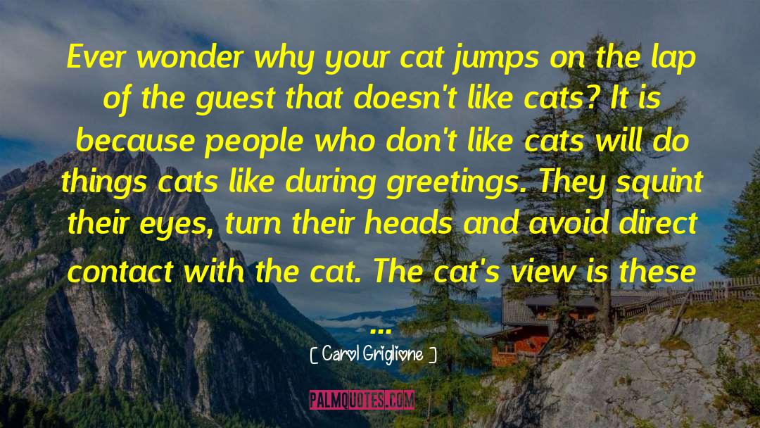 Dont Like Cat quotes by Carol Griglione