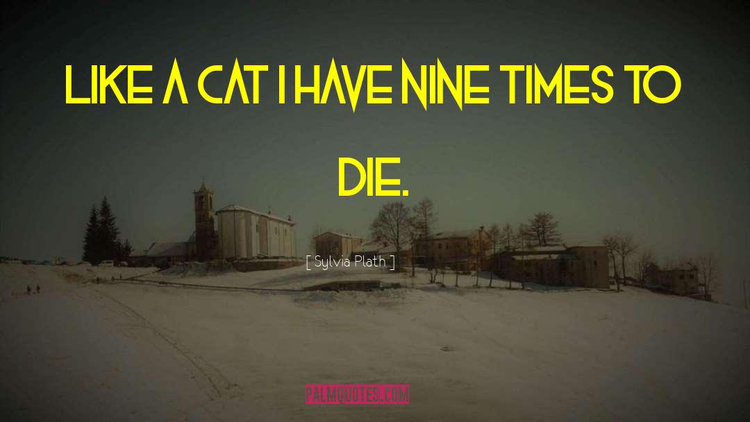 Dont Like Cat quotes by Sylvia Plath