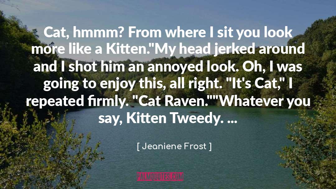Dont Like Cat quotes by Jeaniene Frost