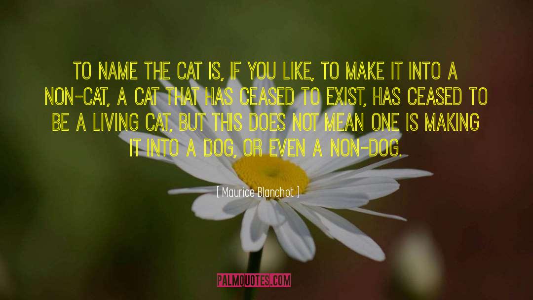 Dont Like Cat quotes by Maurice Blanchot