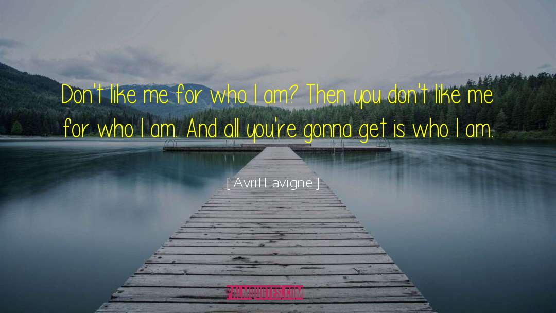 Dont Like Me quotes by Avril Lavigne
