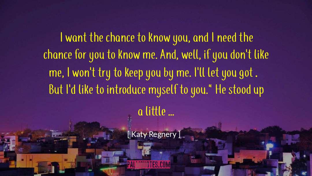 Dont Like Me quotes by Katy Regnery