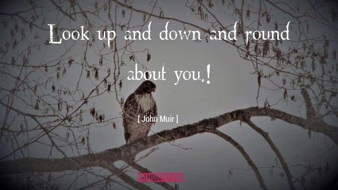 Dont Look Down On Anyone quotes by John Muir