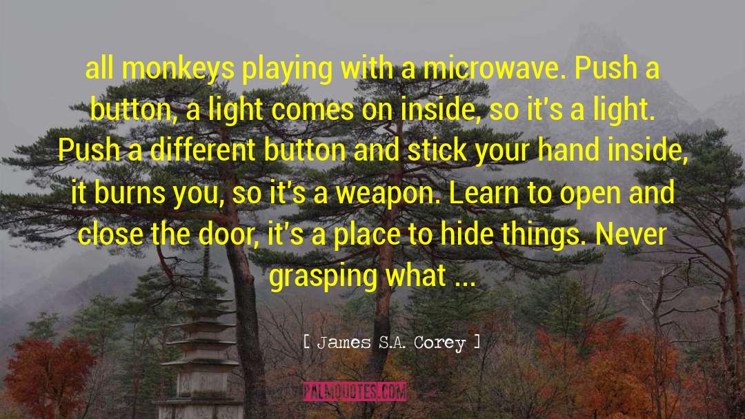 Dont Push My Button quotes by James S.A. Corey