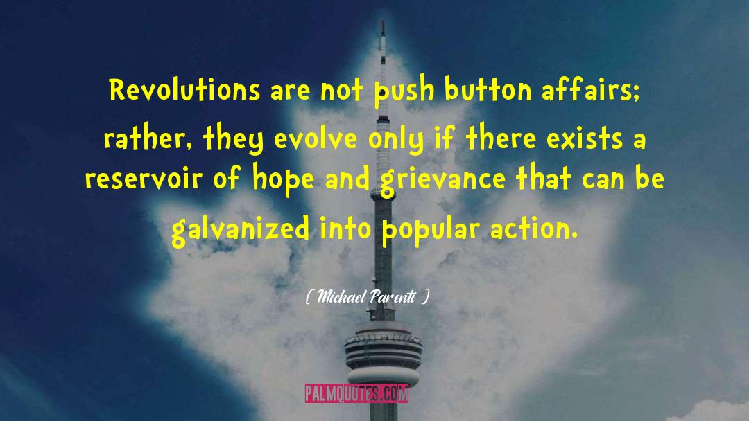 Dont Push My Button quotes by Michael Parenti