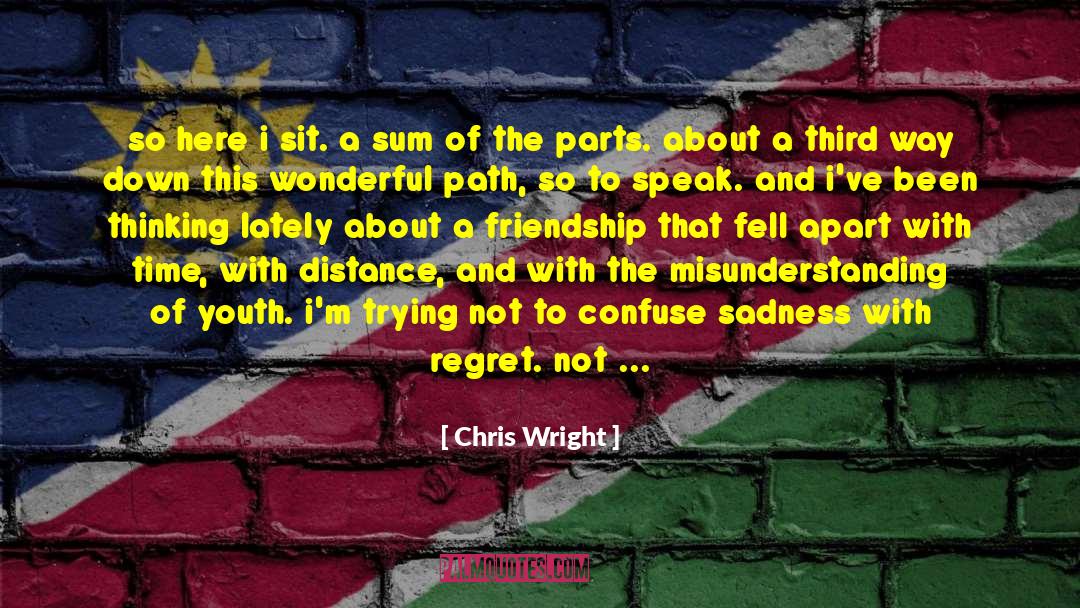 Dont Regret quotes by Chris Wright