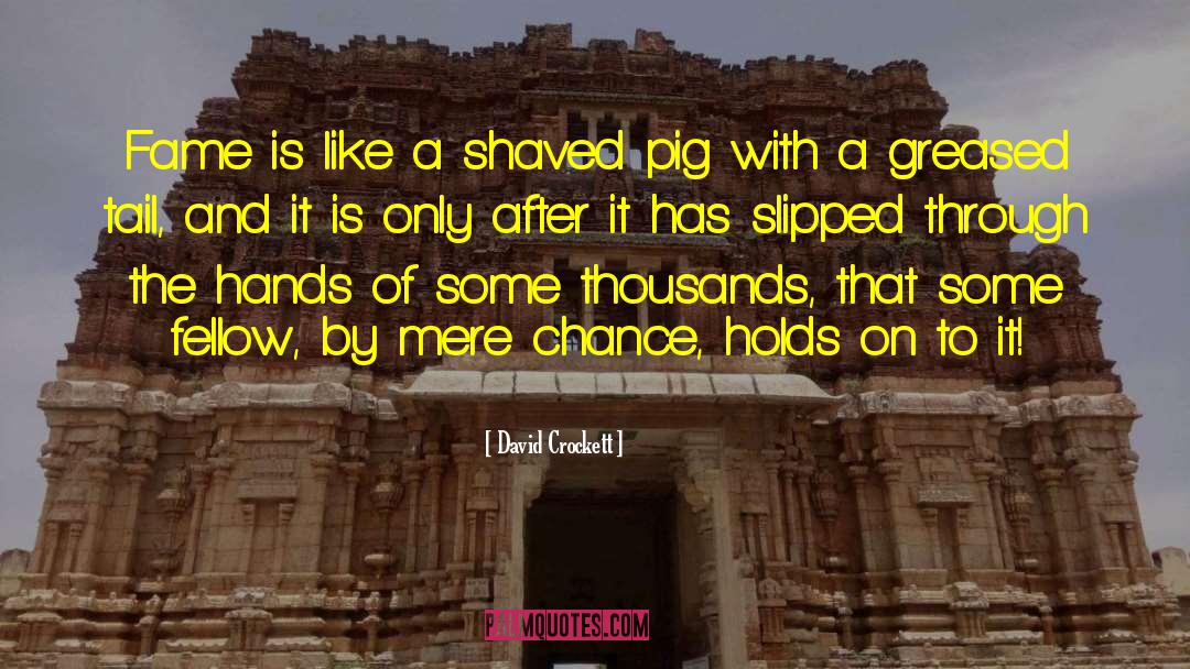 Dont Shoo The Pig quotes by David Crockett