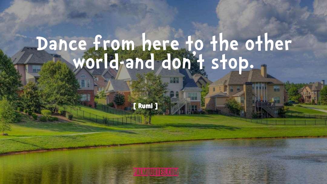 Dont Stop quotes by Rumi