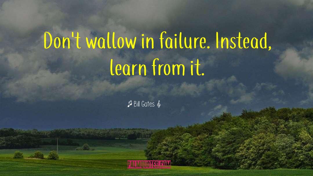 Dont Wallow quotes by Bill Gates