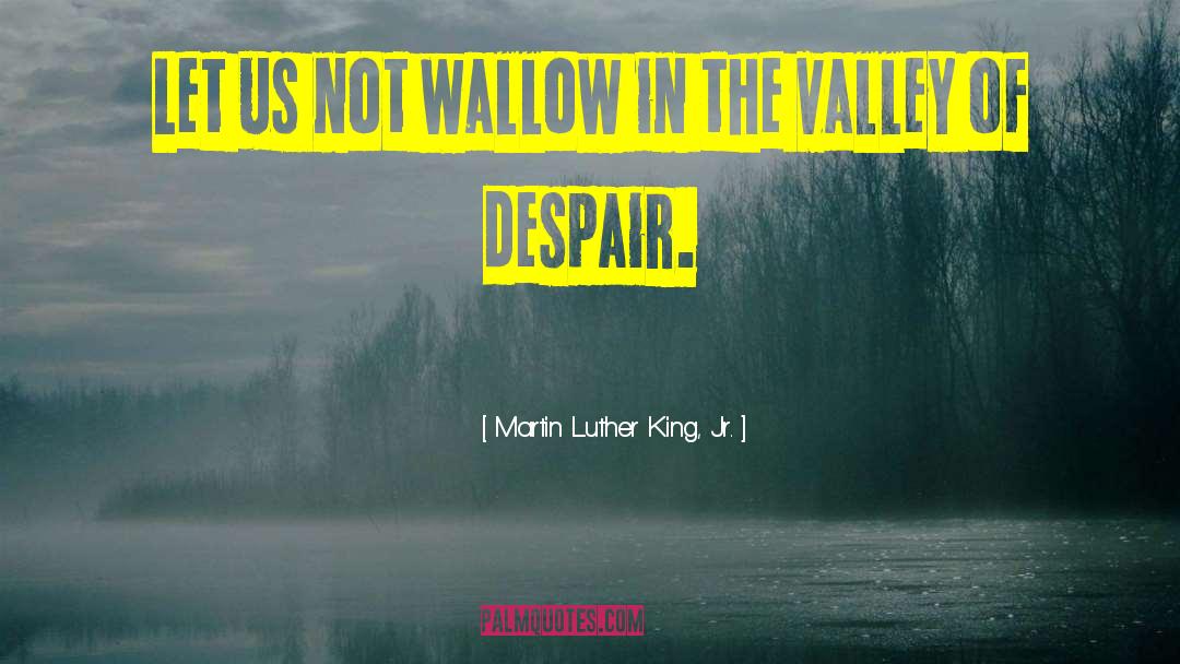 Dont Wallow quotes by Martin Luther King, Jr.