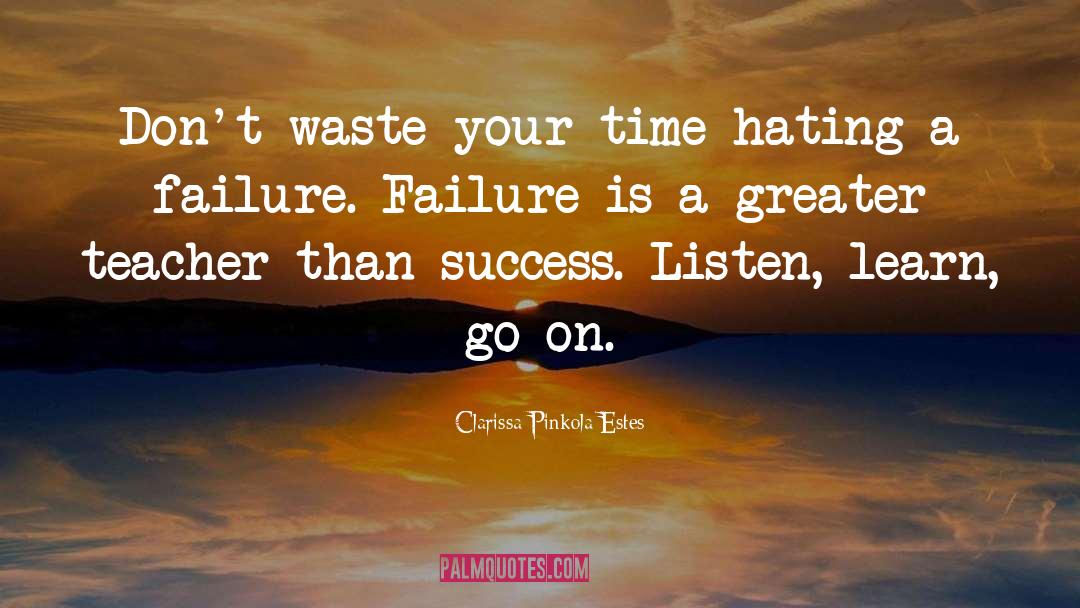Dont Waste Your Time quotes by Clarissa Pinkola Estes
