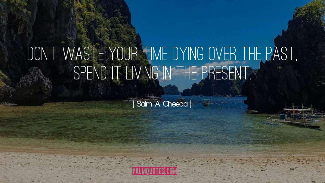 Dont Waste Your Time quotes by Saim .A. Cheeda