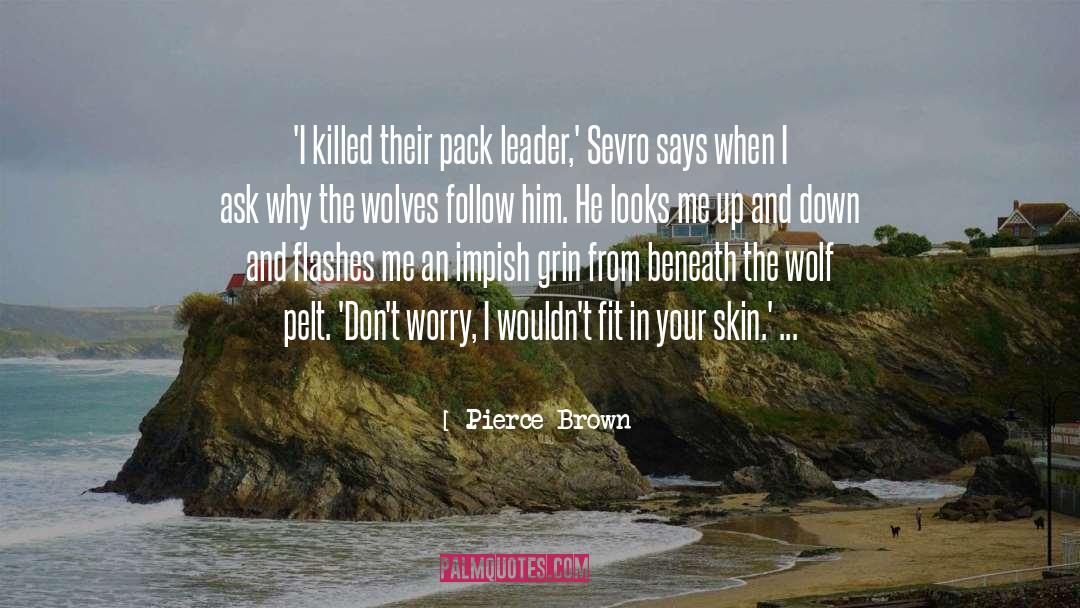 Dont Worry quotes by Pierce Brown