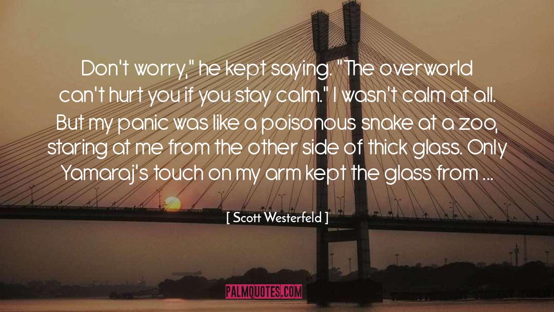 Dont Worry quotes by Scott Westerfeld