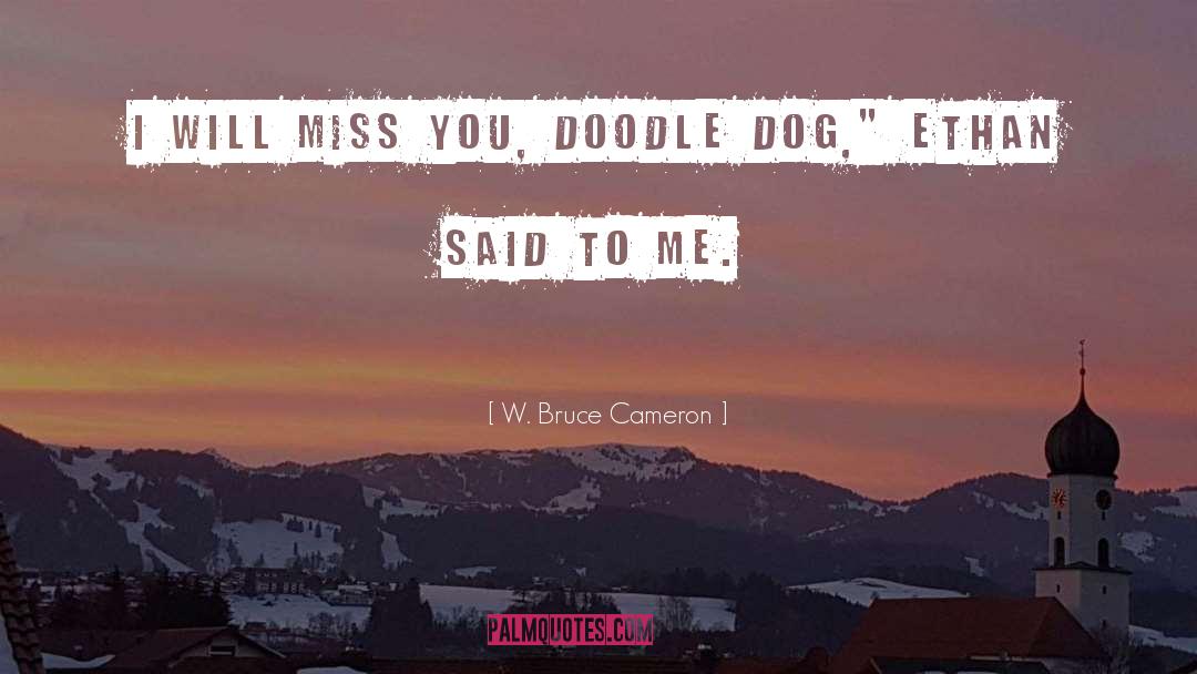 Doodle quotes by W. Bruce Cameron