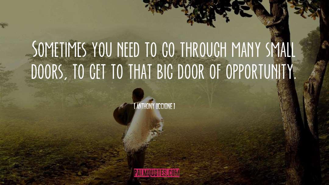 Door Of Opportunity quotes by Anthony Liccione